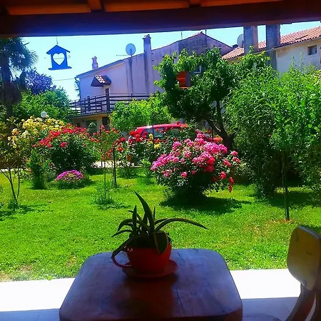 Vanessa Novigrad Istria